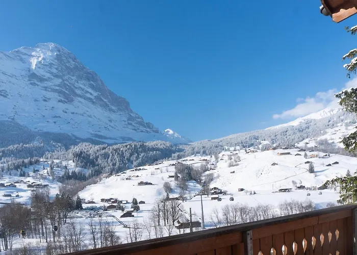 Spacious With Outstanding Views Direct Access Of Europe * Grindelwald